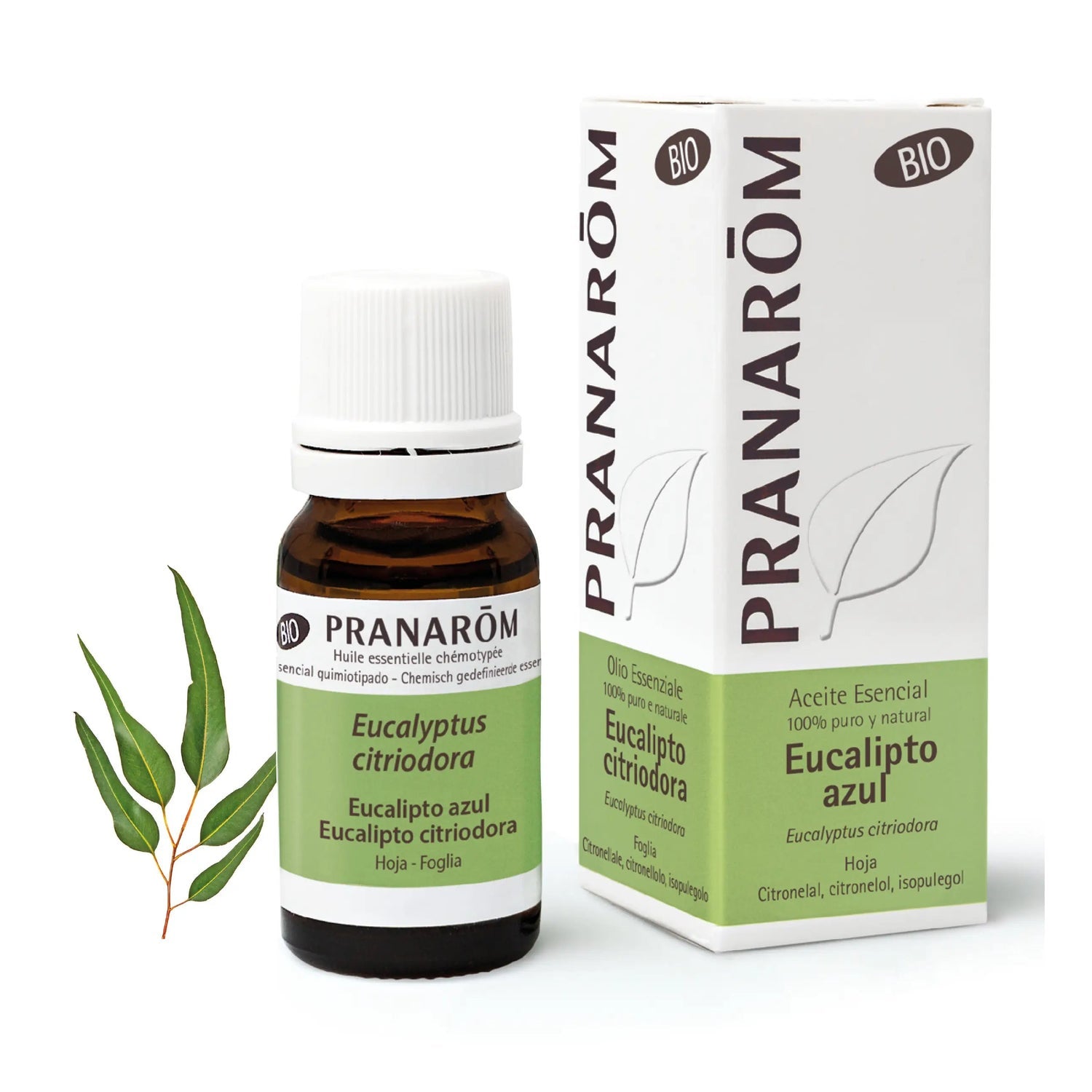 Pranarôm Aceite Esencial de Eucalipto Azul BIO 10 ml