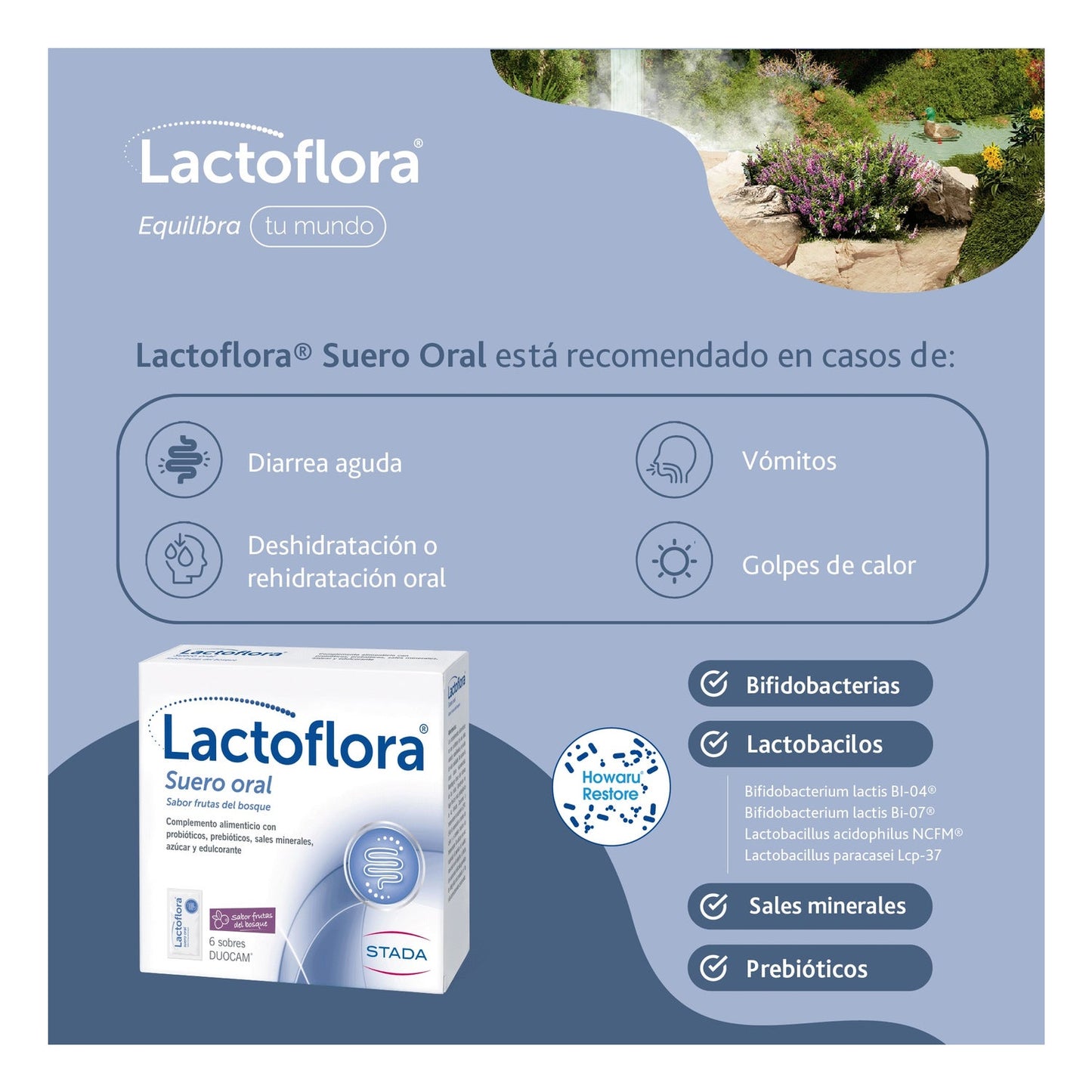 Lactoflora Suero Oral Sabor Frutas del Bosque 6 sobres