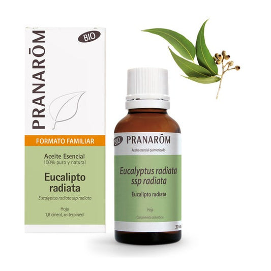 Pranarôm Aceite Esencial de Eucalipto Radiata BIO 30ml