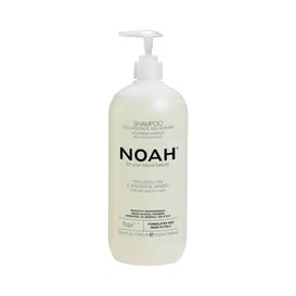 Noah Champú Voluminizador con Cítricos Hair 1.1 1000ml