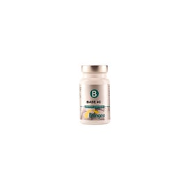 Erlingen Base 4 C 60 comp