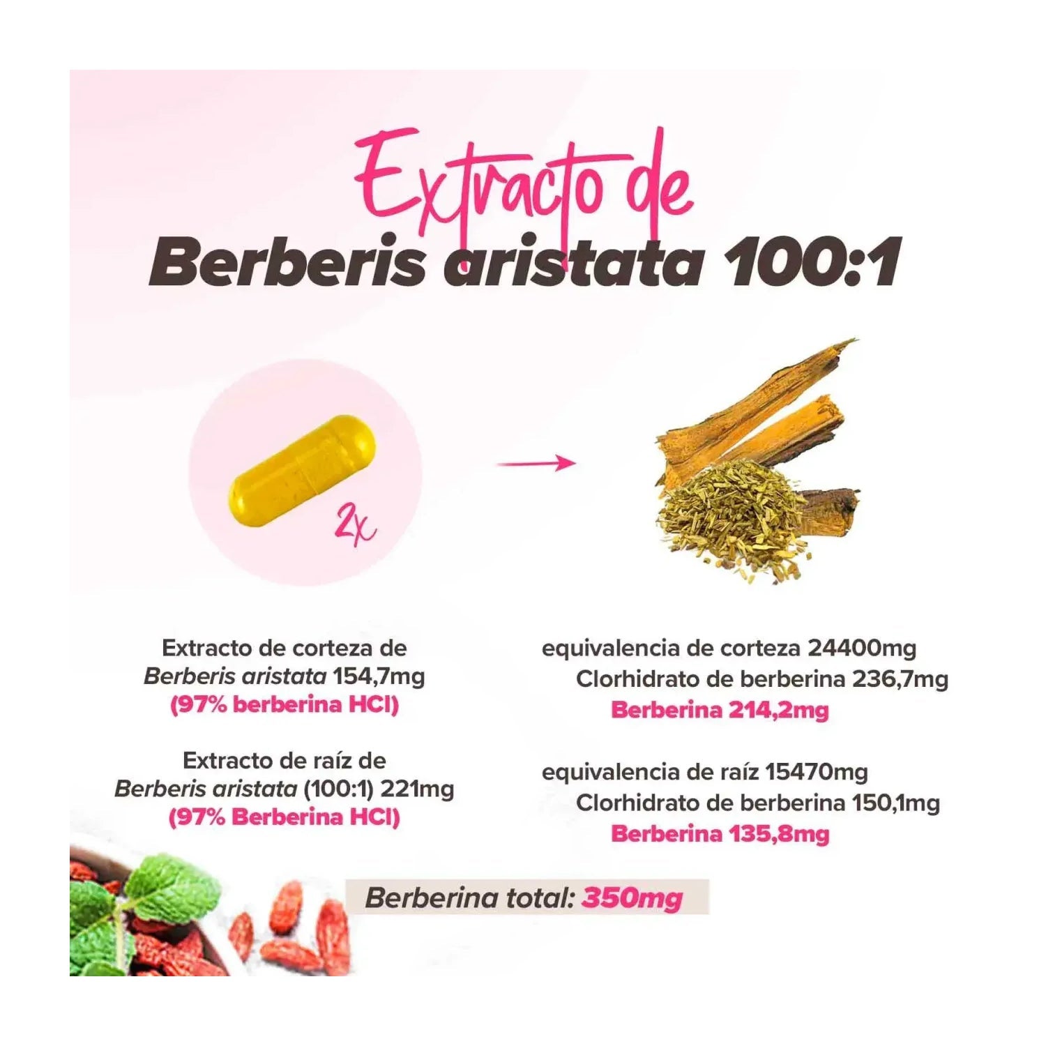 HSN Berberina 175mg y Cardo Mariano Silimarina 210mg Complex 120vcaps