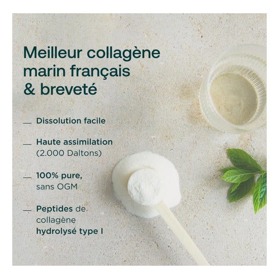 Humble+ Colágeno Marino Limón Menta 300g