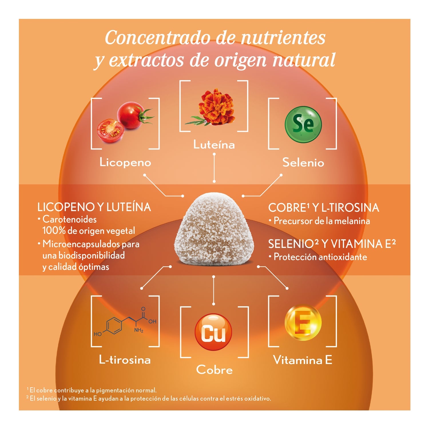 Oenobiol Gummies Solaire 2en1 60 Gummies