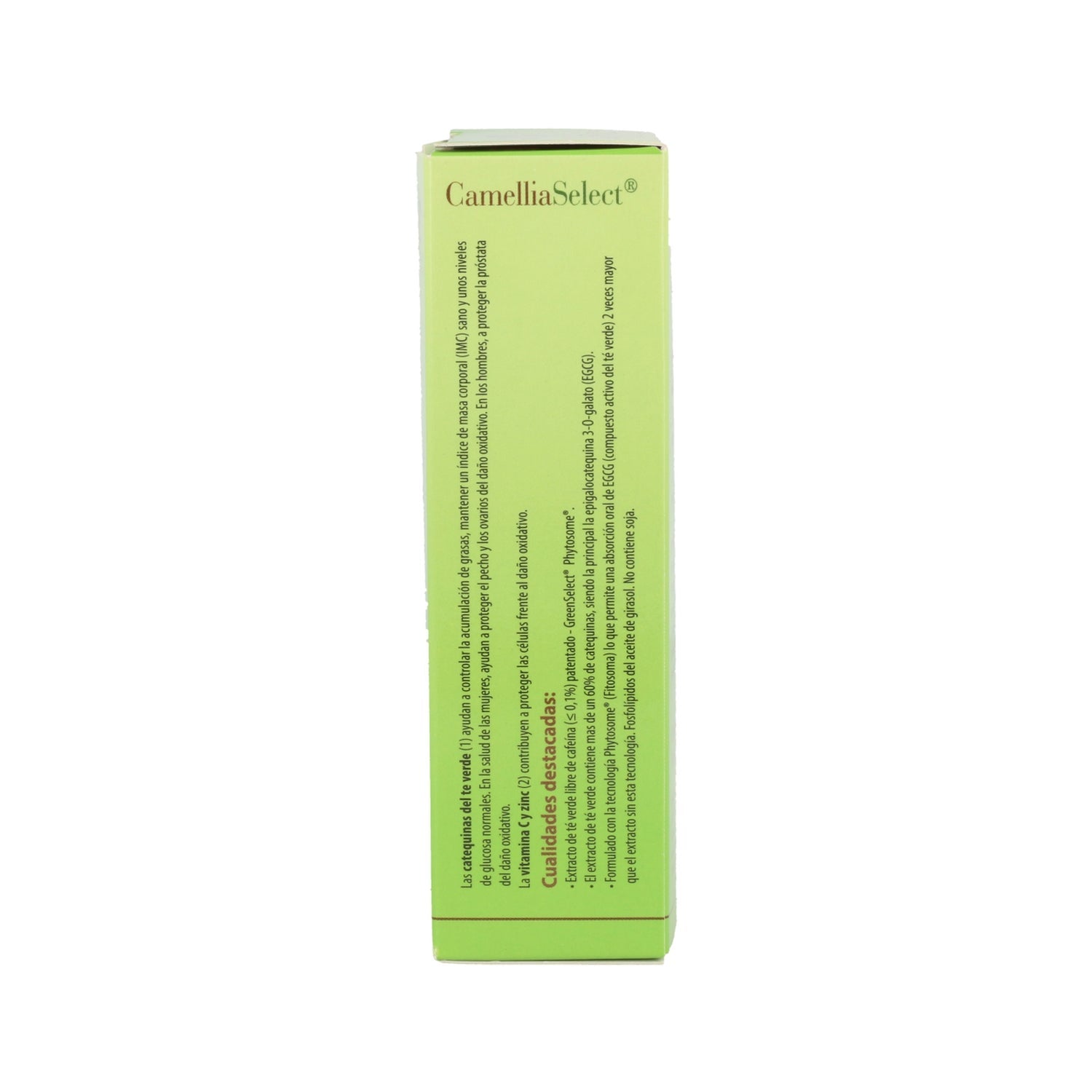 100% Natural Camellia Select Antioxidante 60cáps