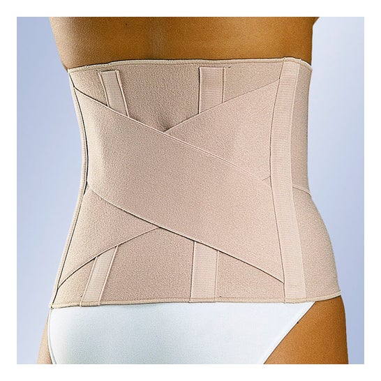 Orliman Faja Sacrolumbar Elastica Clasica L250 T6 1 ud