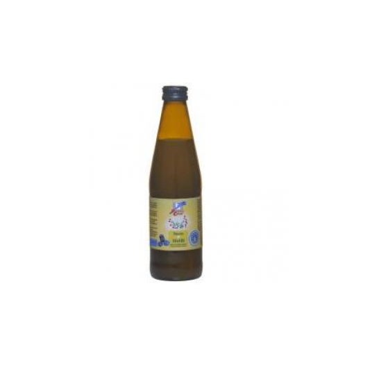ZUMO DE ARÁNDANOS CONC SEMPL&BIO