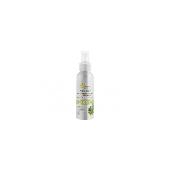 Fleurance Nature Puryfitout Spray Assainissant 100ml