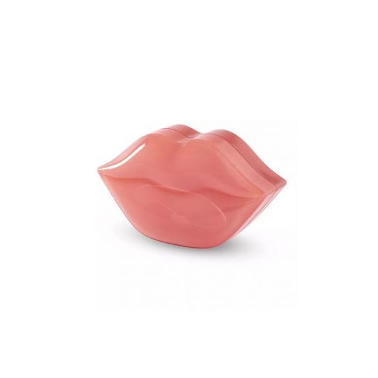 IDC Institute Hydrogel Lip Mask 22uds