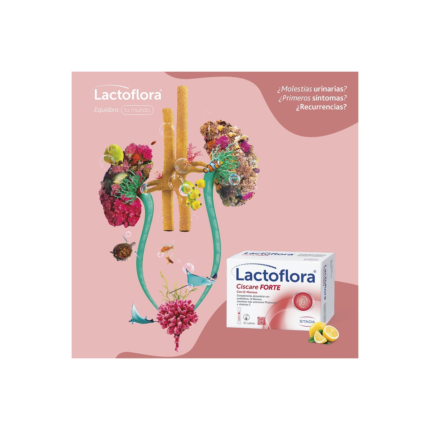 Lactoflora Ciscare Forte 10 sobres