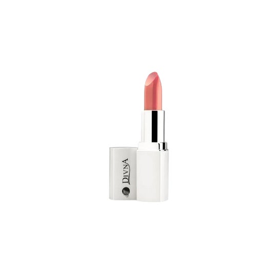 Divna Barra de Labios Nº8