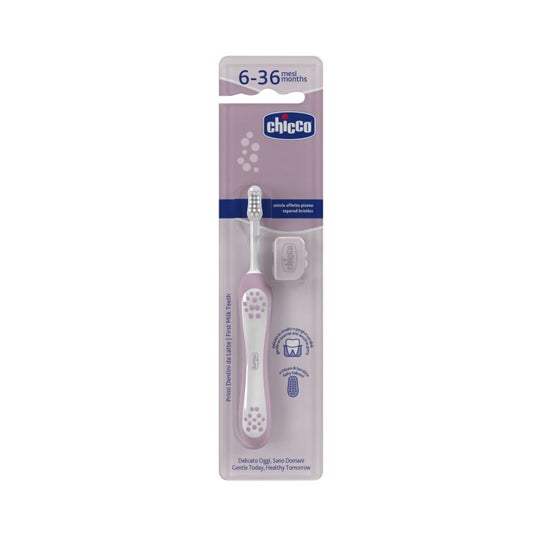 Chicco Cepillo Dental Primeros Dientes 6-36 M Lila 1 ud