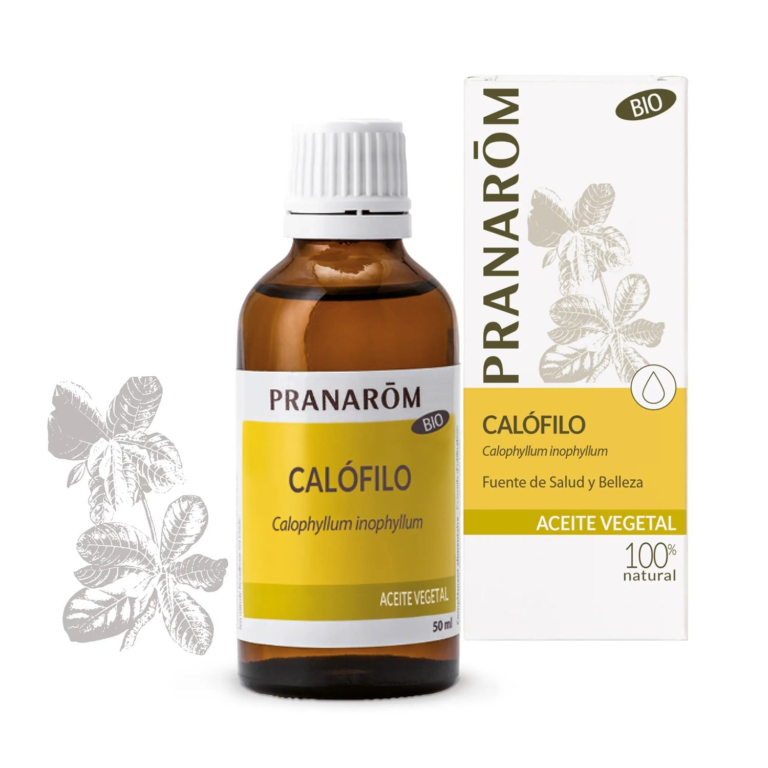 Pranarôm Aceite Vegetal de Calófilo BIO 50ml