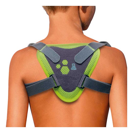 Prim Inmovilizador De Clavícula Talla S 1 Unidad