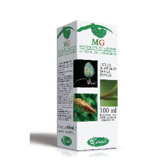 Sangalli Sequoia Mg 100 ml