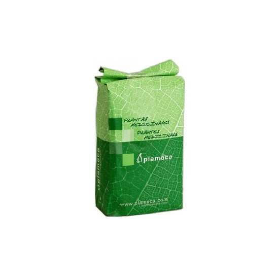 Plameca Uña de Gato Triturada 1kg