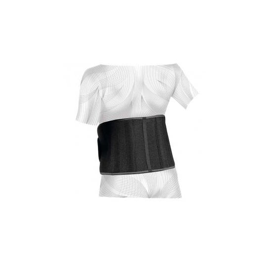 Vulkan Faja Lumbar con 4 Varillas 5mm Clásica Negro T U 1ud