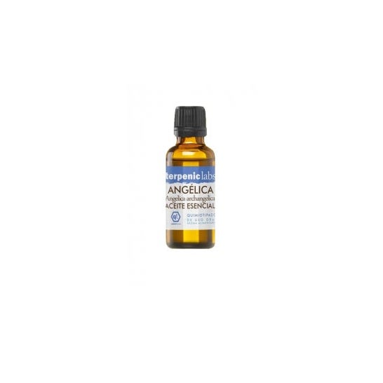 Terpenic Labs Angelica Raiz 30ml