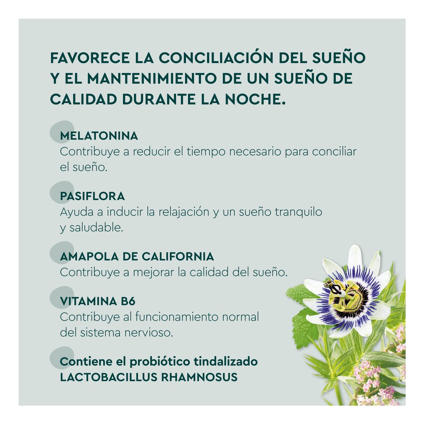 Kneipp Gummies Sueño con Probiótico 60uds