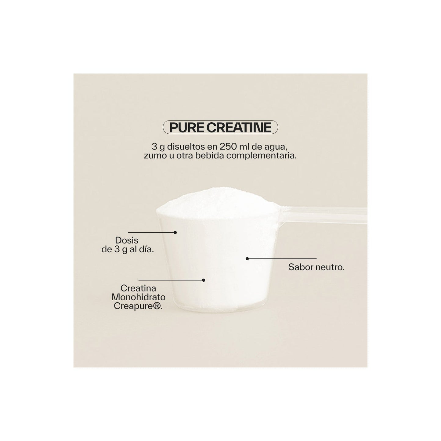 NDL Pro-Health Elite Creatine Creapure 300g