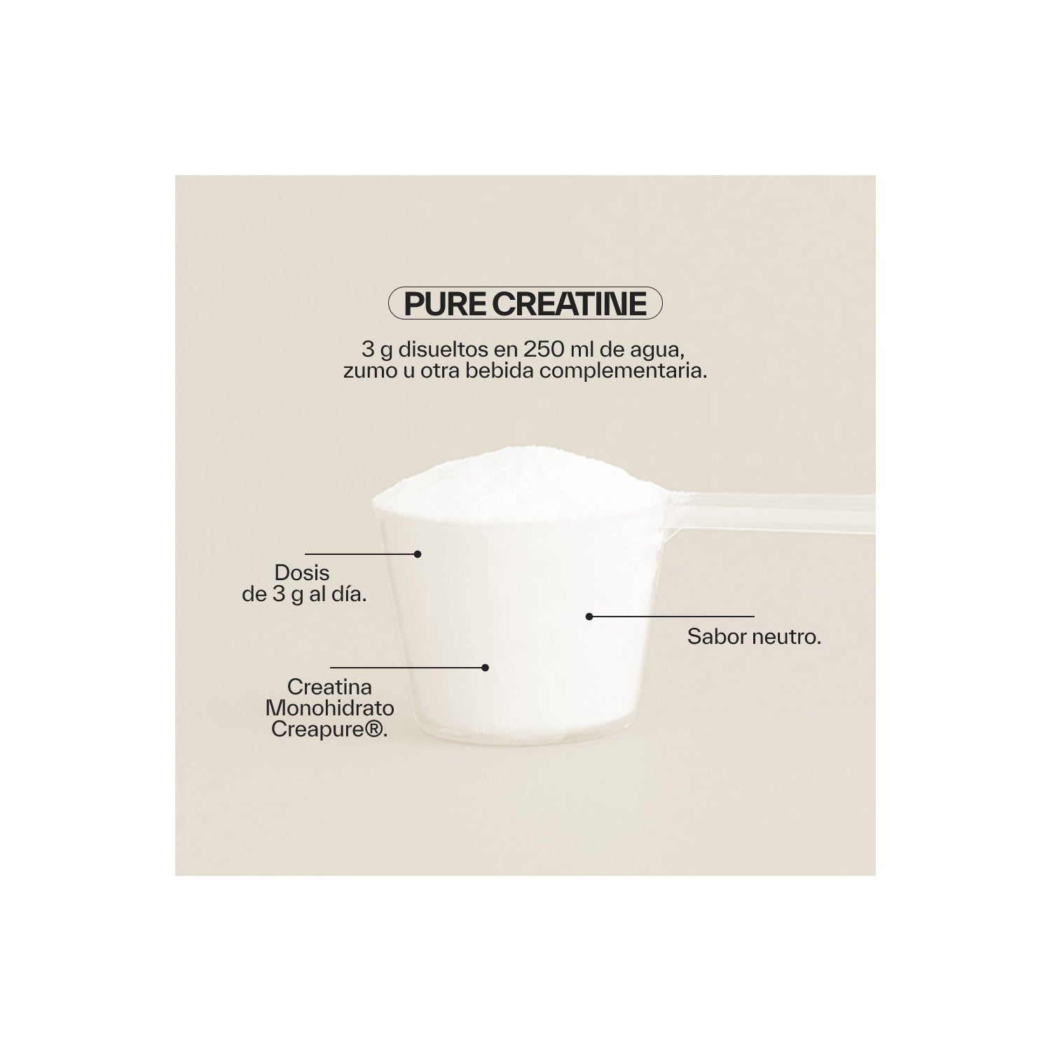 NDL Pro-Health Elite Creatine Creapure 300g