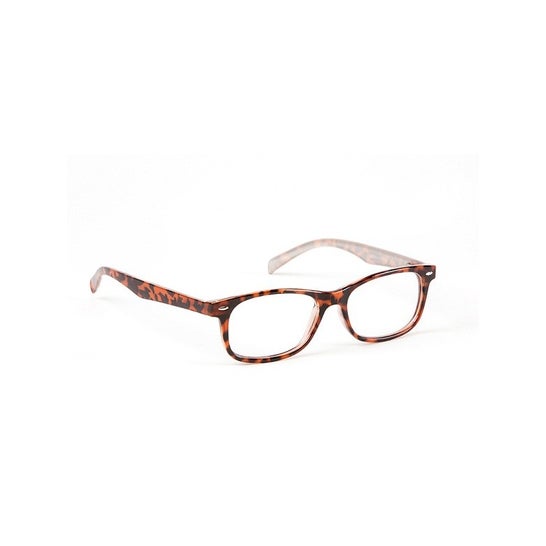 Loring Gafas Zurich +1 1ud
