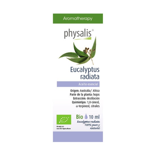 Physalis Aceite Esencial de Eucalipto Radiata Bio 10ml