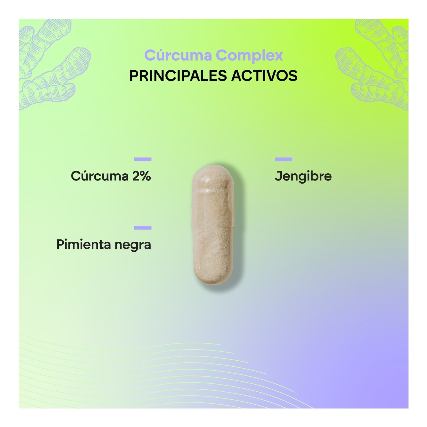 Nutralie Cúrcuma Complex + Jengibre + Pimienta Negra 120caps