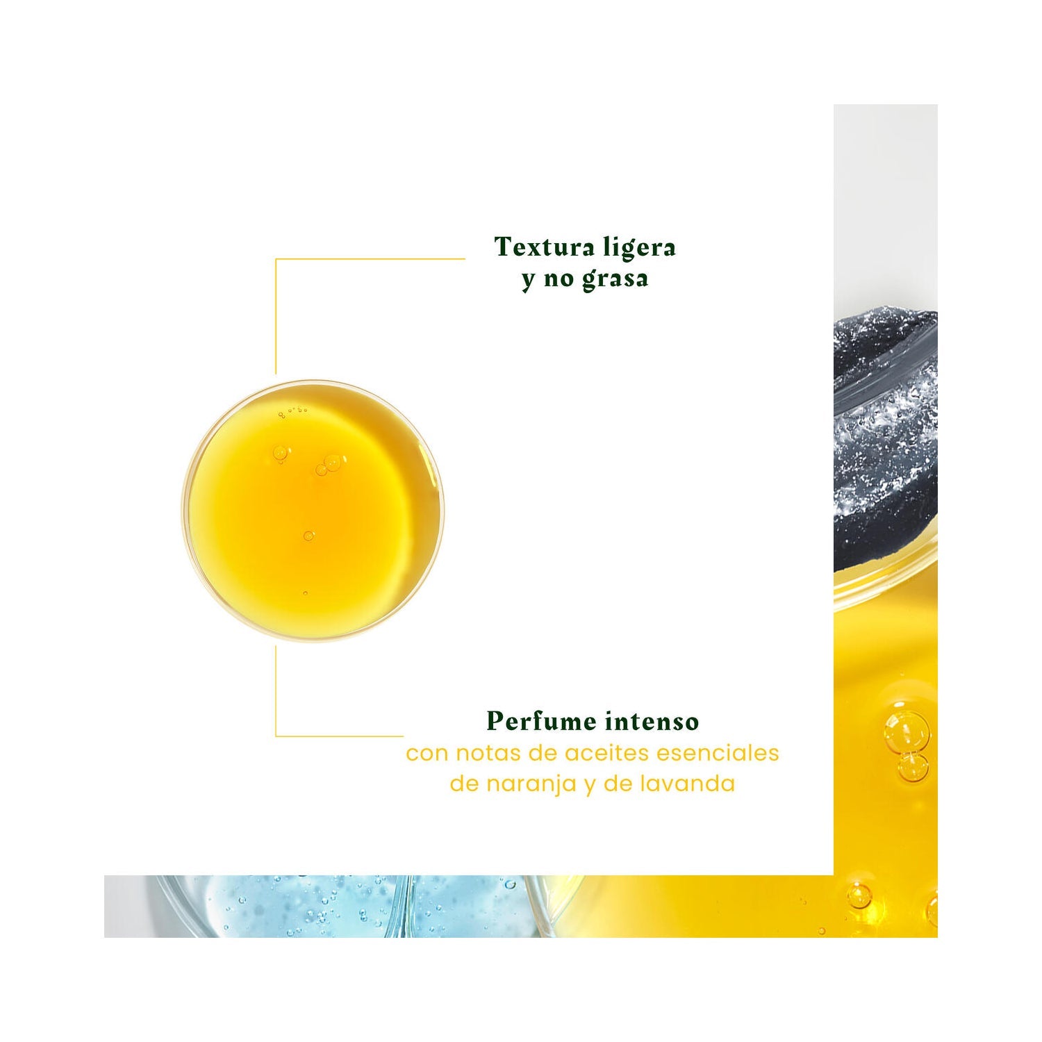 René Furterer Head Spa Complexe 5 Concentrado Vegetal Estimulante Fuerza y Vitalidad 50ml