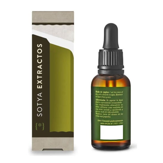 Hiperico Extracto Glicerinado Sotya 60 ml
