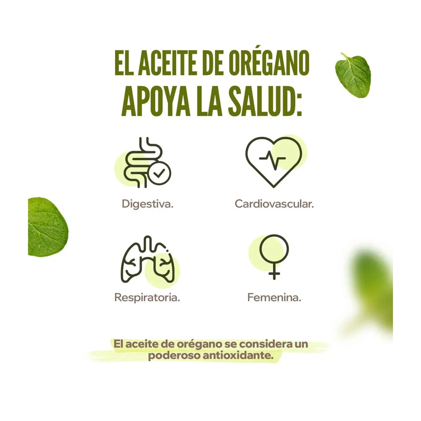 HSN Aceite de Orégano Silvestre 300mg 120 perlas vegetales