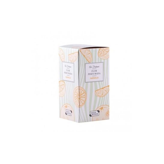 Naturbotanic Air Freshner Flor Perfumada Naranja 90 Ml