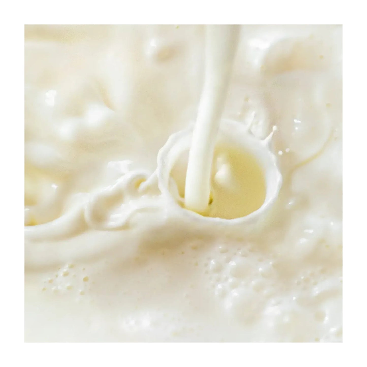 HSN Kéfir Bajo en Grasa en Polvo 150g