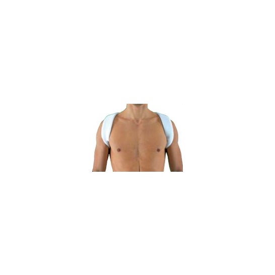 Gibaud Bloqueo de Clavícula T 1 1504 1 ud