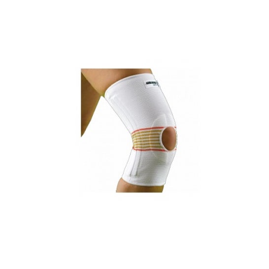 Champú genisol 100 ml