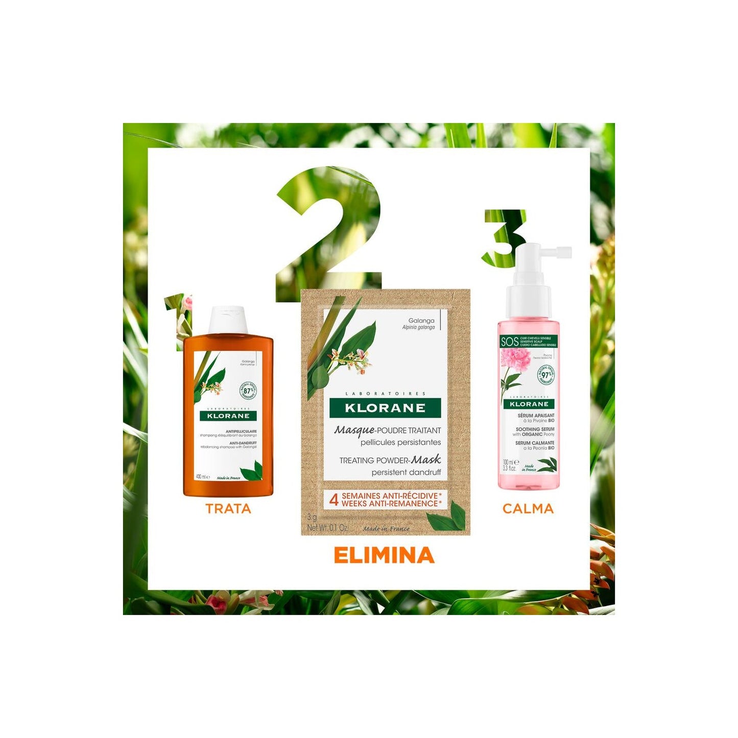 Klorane Mascarilla en Polvo Tratante a la Galanga 8 sobres x 3g