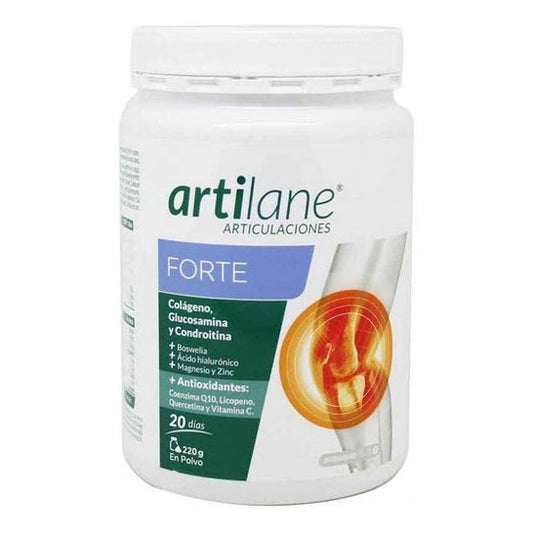 Artilane Forte Polvo 220g