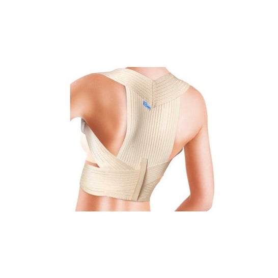 Prim Espaldillera Confort 335 S 1ud