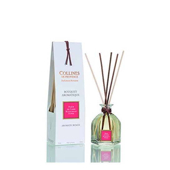 Collines de Provence Ramo de flores de grosella negra 100ml