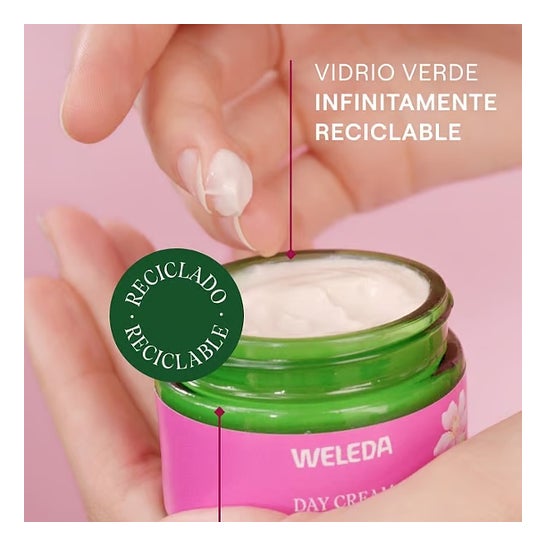 Weleda Crema de Día Alisante de Rosa Mosqueta y Té Blanco 40 ml