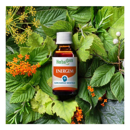 Herbalgem Energem Sobrecarga Mental Bio 30 ml