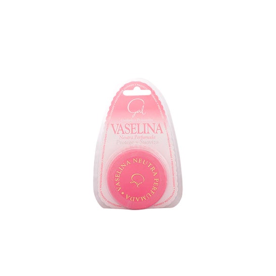 Gal Vaselina Neutra Perfumada 40 ml