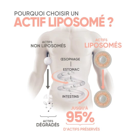 Prescription Nature Liposomia Hialurónico 30 caps